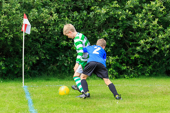 130629 Sandhurst Wanderers U8 at BTJ U9 Trny (266)