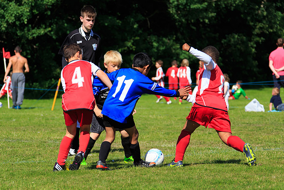 130629 Sandhurst Wanderers U8 at BTJ U9 Trny (299)