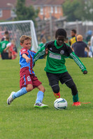 Eldon-2014 843