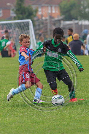 Eldon-2014 843