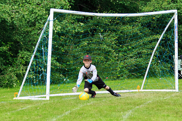 130629 Sandhurst Wanderers U8 at BTJ U9 Trny (197)