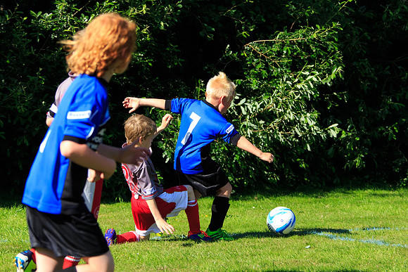 130629 Sandhurst Wanderers U8 at BTJ U9 Trny (410)