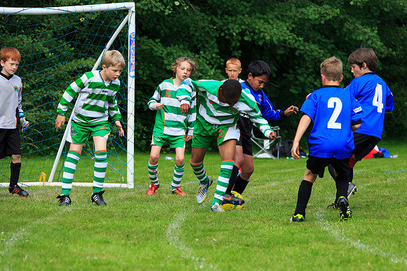130629 Sandhurst Wanderers U8 at BTJ U9 Trny (232)