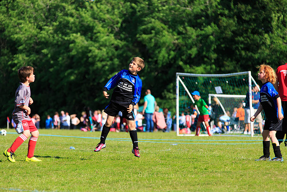 130629 Sandhurst Wanderers U8 at BTJ U9 Trny (381)