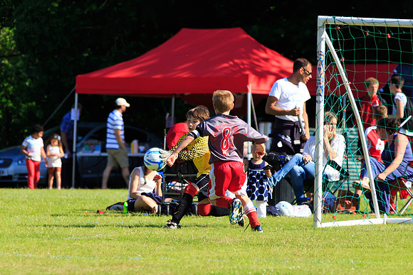 130629 Sandhurst Wanderers U8 at BTJ U9 Trny (385)