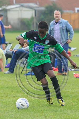 Eldon-2014 695