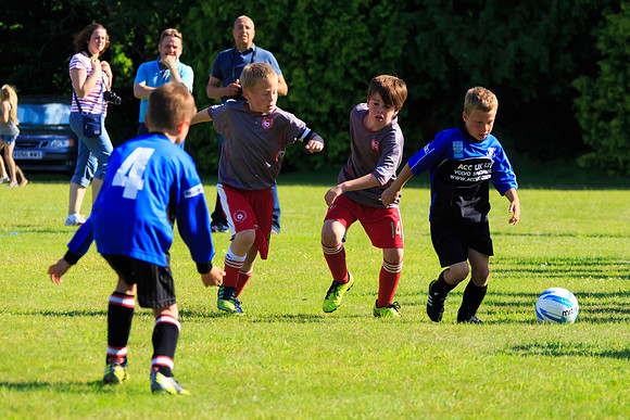 130629 Sandhurst Wanderers U8 at BTJ U9 Trny (391)