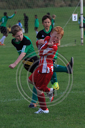 Eldon-2014 974