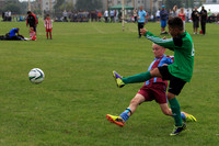 Eldon-2014 829