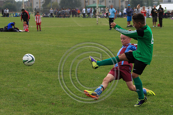 Eldon-2014 829