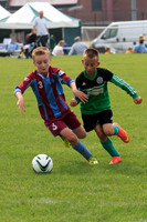 Eldon-2014 839