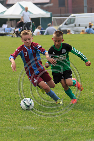 Eldon-2014 839