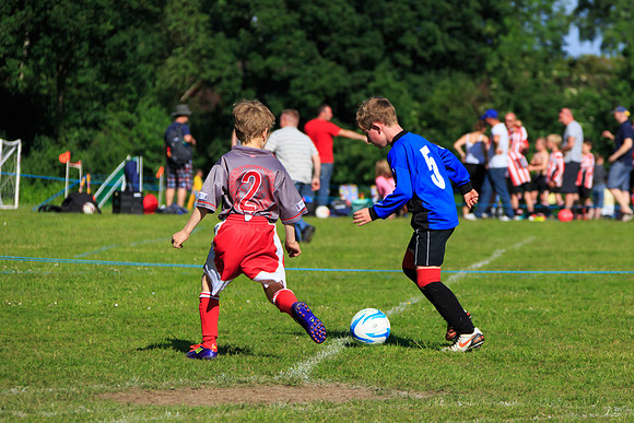 130629 Sandhurst Wanderers U8 at BTJ U9 Trny (397)