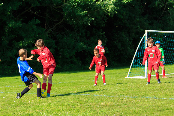 130629 Sandhurst Wanderers U8 at BTJ U9 Trny (529)