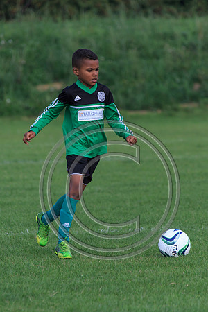 Eldon-2014 984