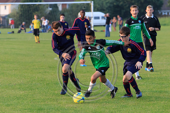 Eldon-2014 1474