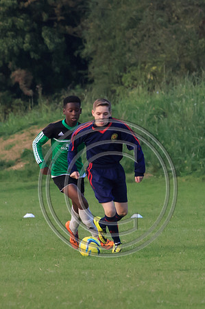 Eldon-2014 1456