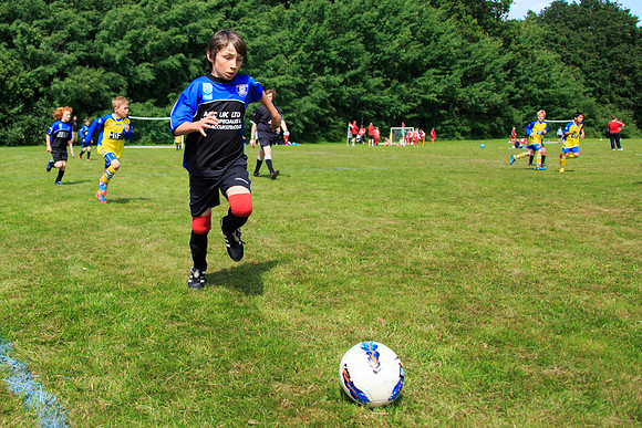 130629 Sandhurst Wanderers U8 at BTJ U9 Trny (148)