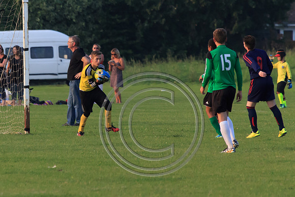Eldon-2014 1468