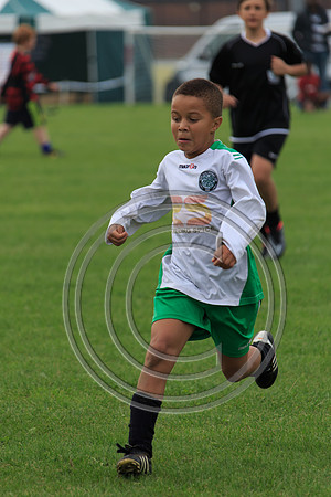 Eldon-2014 502