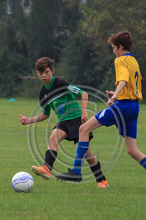 Eldon-2014 391