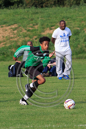 Eldon-2014 1349