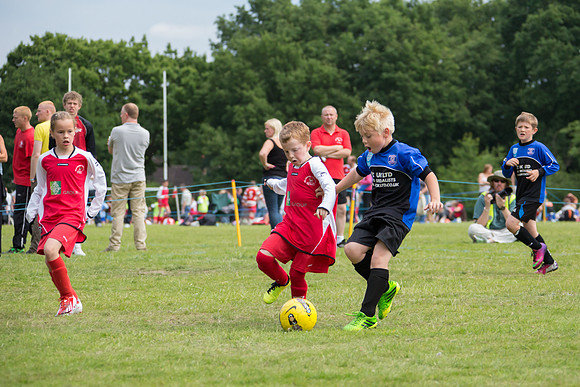 130629 Sandhurst Wanderers U8 at BTJ U9 Trny (37)-2