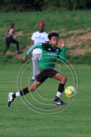 Eldon-2014 1462