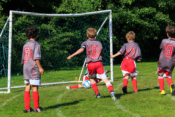 130629 Sandhurst Wanderers U8 at BTJ U9 Trny (442)