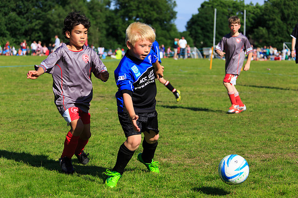130629 Sandhurst Wanderers U8 at BTJ U9 Trny (425)