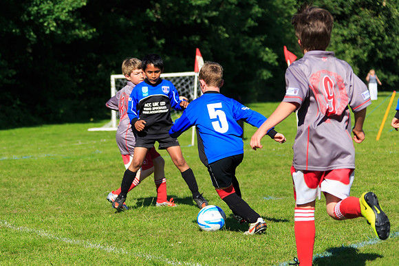 130629 Sandhurst Wanderers U8 at BTJ U9 Trny (438)