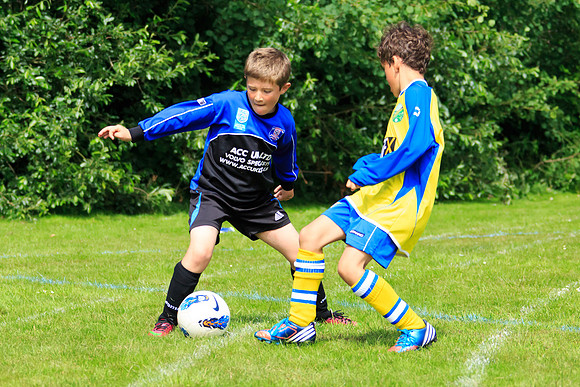 130629 Sandhurst Wanderers U8 at BTJ U9 Trny (105)