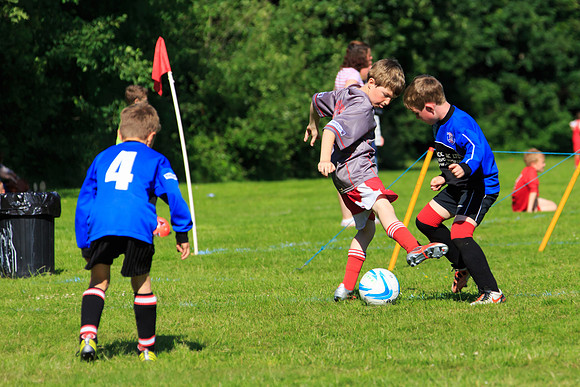 130629 Sandhurst Wanderers U8 at BTJ U9 Trny (337)