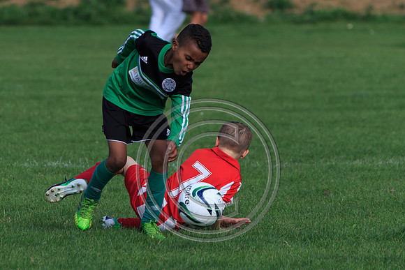 Eldon-2014 1013