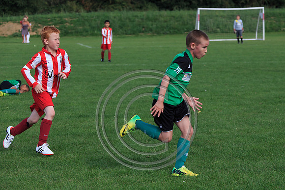 Eldon-2014 1015