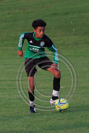Eldon-2014 1479