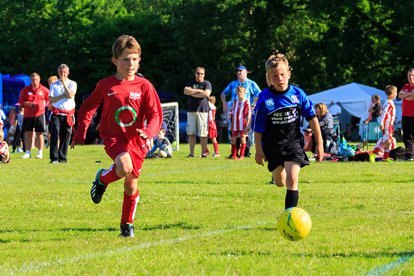 130629 Sandhurst Wanderers U8 at BTJ U9 Trny (511)