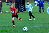 140208 B Cav U9 v Finch Falcons 024