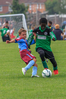 Eldon-2014 844