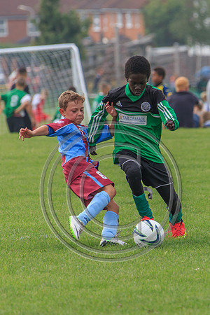 Eldon-2014 844