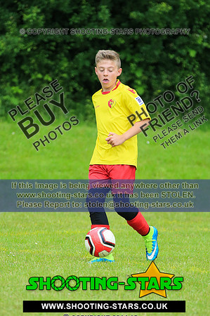 U13-2162