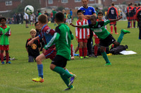 Eldon-2014 817