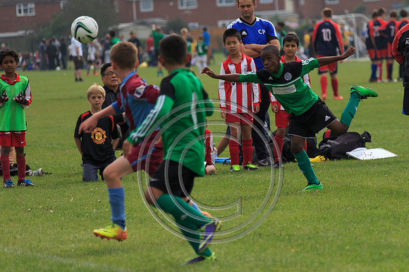 Eldon-2014 817