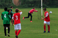 Eldon-2014 118