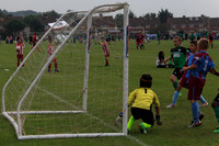 Eldon-2014 830