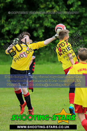 U13-2125
