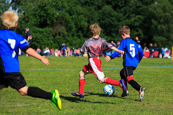 130629 Sandhurst Wanderers U8 at BTJ U9 Trny (395)