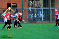 140208 B Cav U9 v Finch Falcons 025