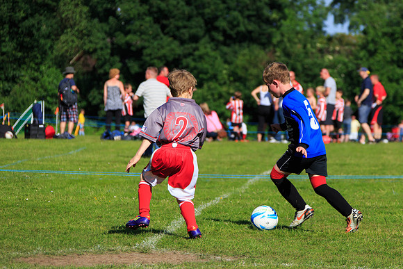 130629 Sandhurst Wanderers U8 at BTJ U9 Trny (396)