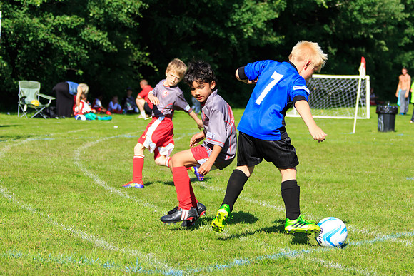130629 Sandhurst Wanderers U8 at BTJ U9 Trny (361)